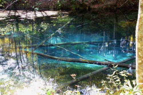 f0113639_19324917.jpg