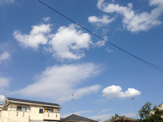 f0179947_2143030.jpg