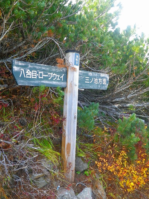 b0175351_003317.jpg