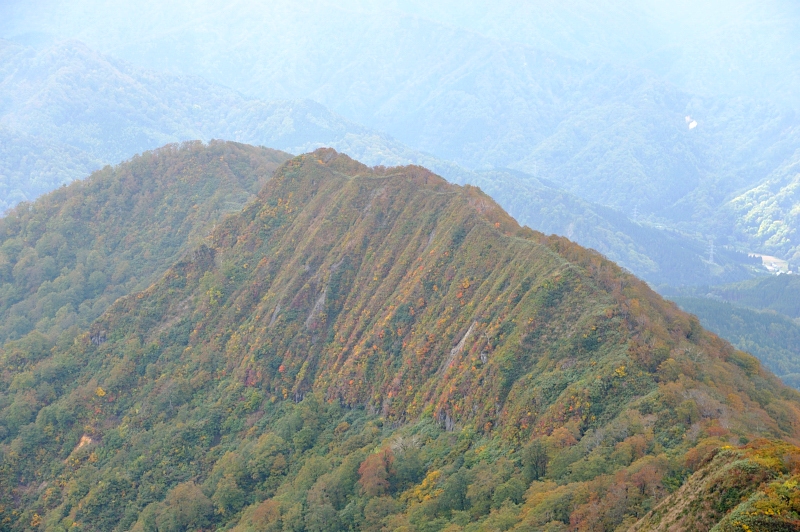 d0169556_18262829.jpg