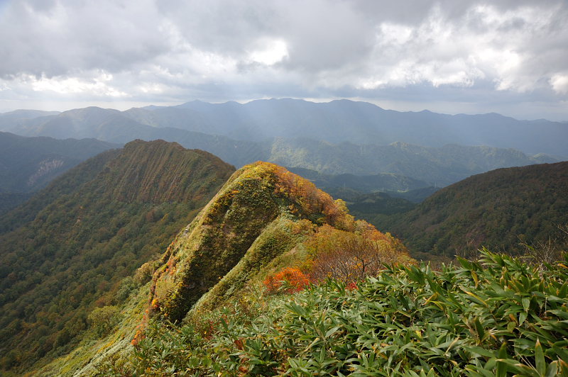 d0169556_1848891.jpg