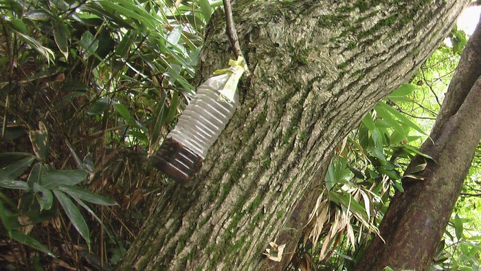 b0208961_11161024.jpg