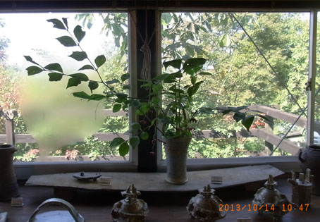 b0075364_22363736.jpg