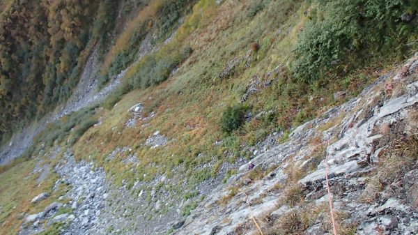 b0050067_2317941.jpg