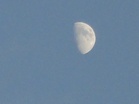 d0109373_020542.jpg