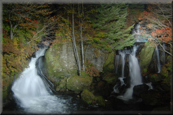 e0099375_1446867.jpg