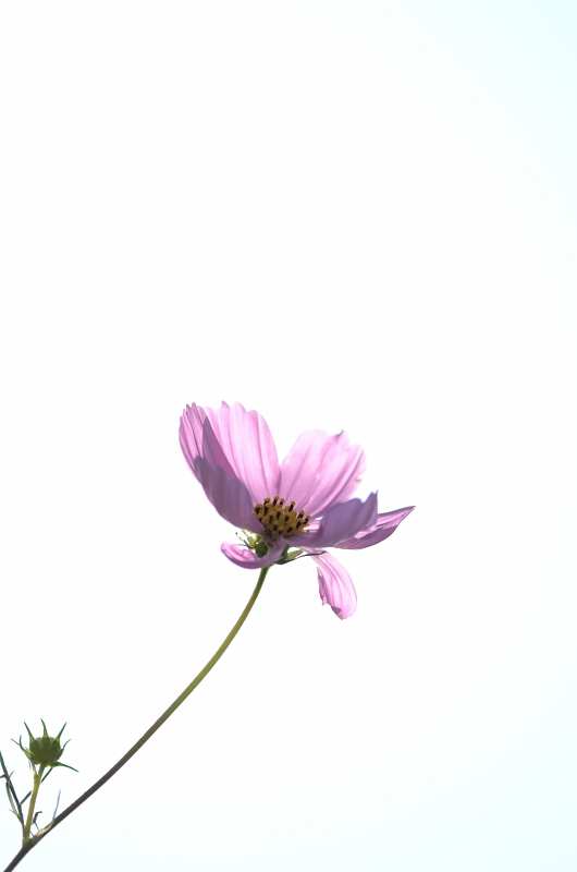 f0108478_63439100.jpg