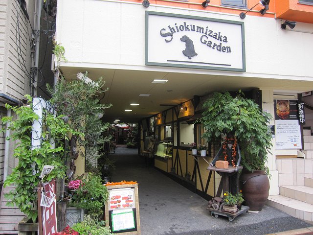 b0167979_21532821.jpg