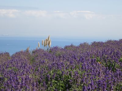 e0012580_11492957.jpg