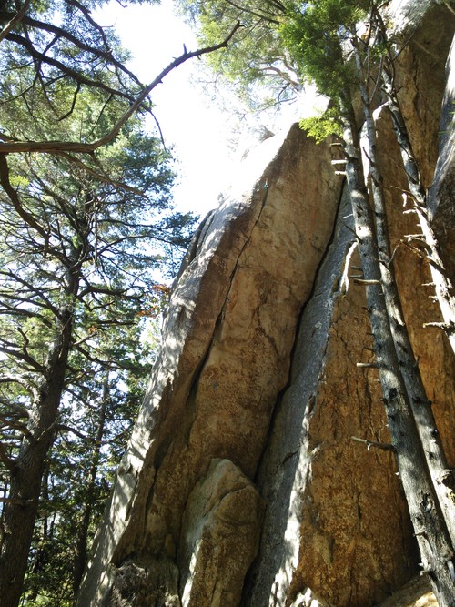 f0223480_22293872.jpg