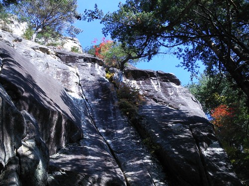 f0223480_22322254.jpg
