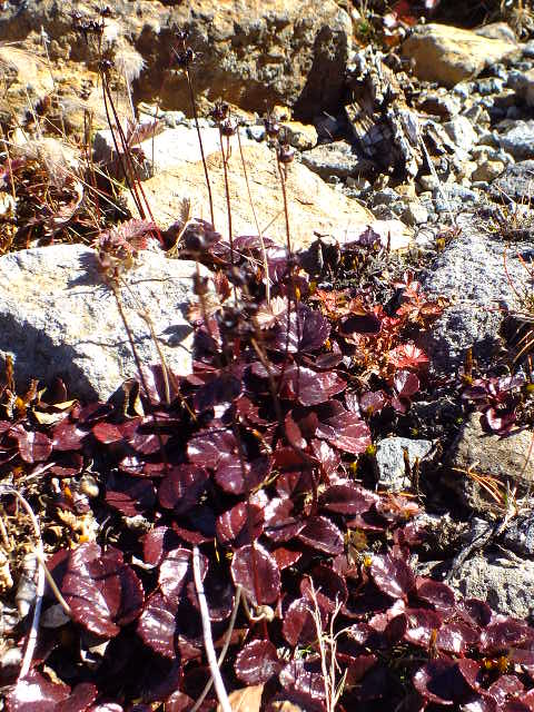 e0145782_17472038.jpg