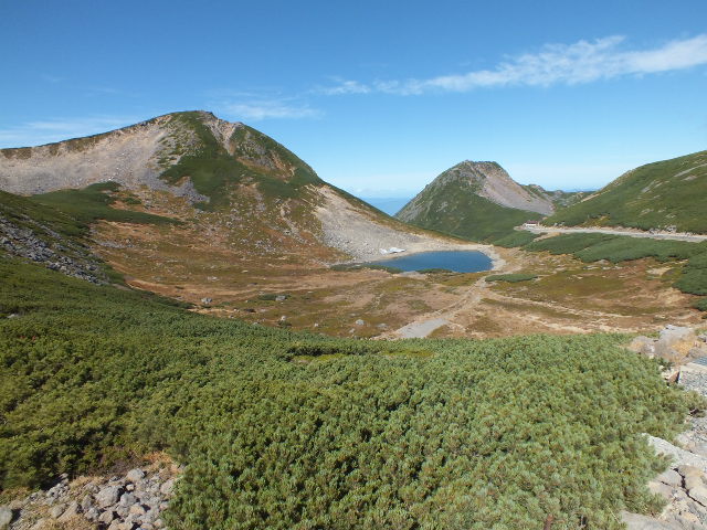 e0145782_17511790.jpg