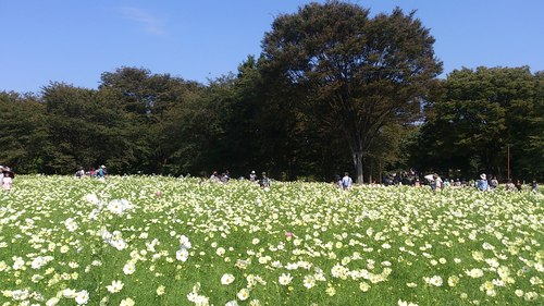 f0014183_163581.jpg