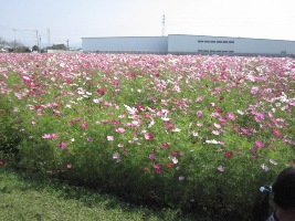 f0153383_23172260.jpg