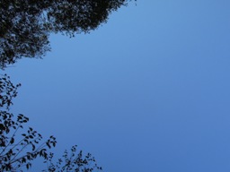 e0155085_1914232.jpg