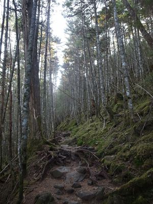 e0271890_1835165.jpg