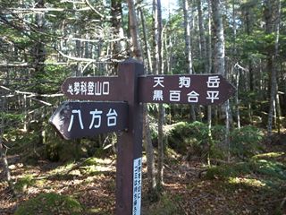 e0271890_21391526.jpg