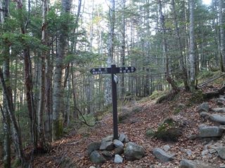 e0271890_2139586.jpg