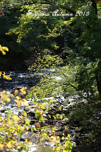 e0059896_22384744.jpg