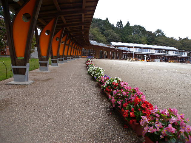 a0199297_2192924.jpg