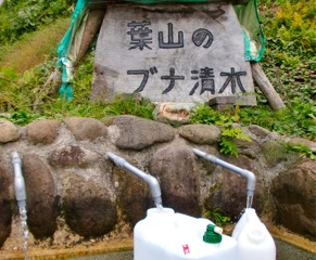 c0151898_19504958.jpg