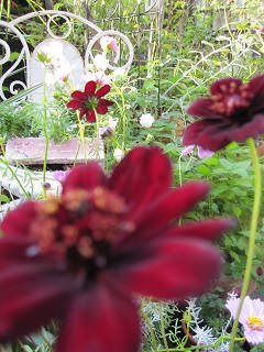 c0152002_17592954.jpg