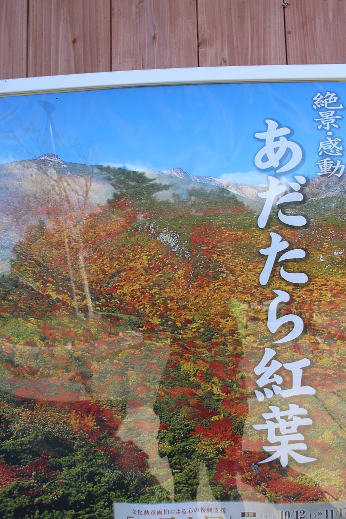 f0034602_202024.jpg