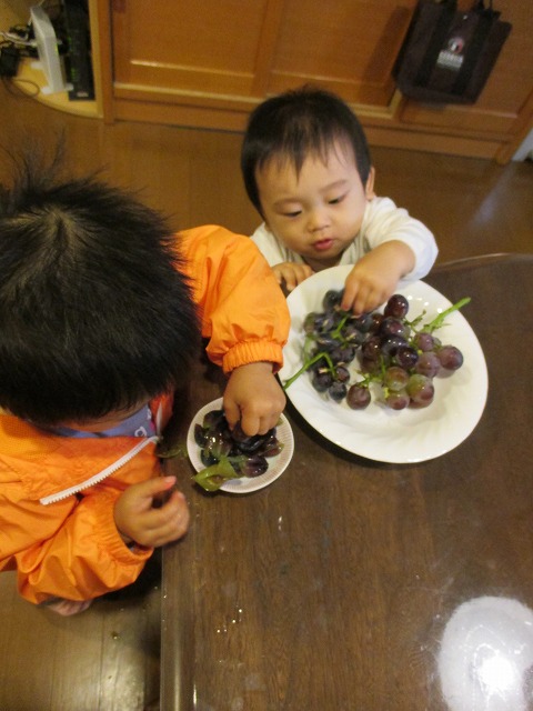 f0202703_1112491.jpg