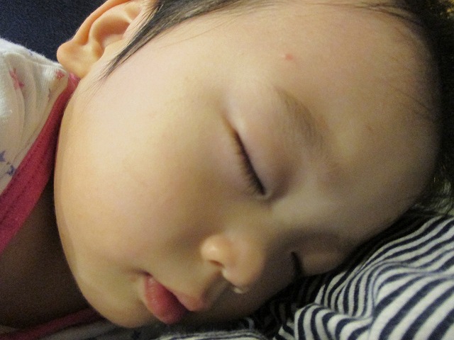 f0202703_123428.jpg