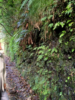 a0201204_2041652.jpg