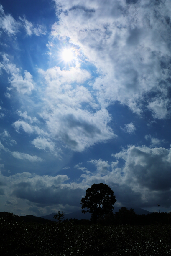 f0302208_23395689.jpg