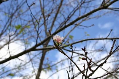 b0223711_9233612.jpg