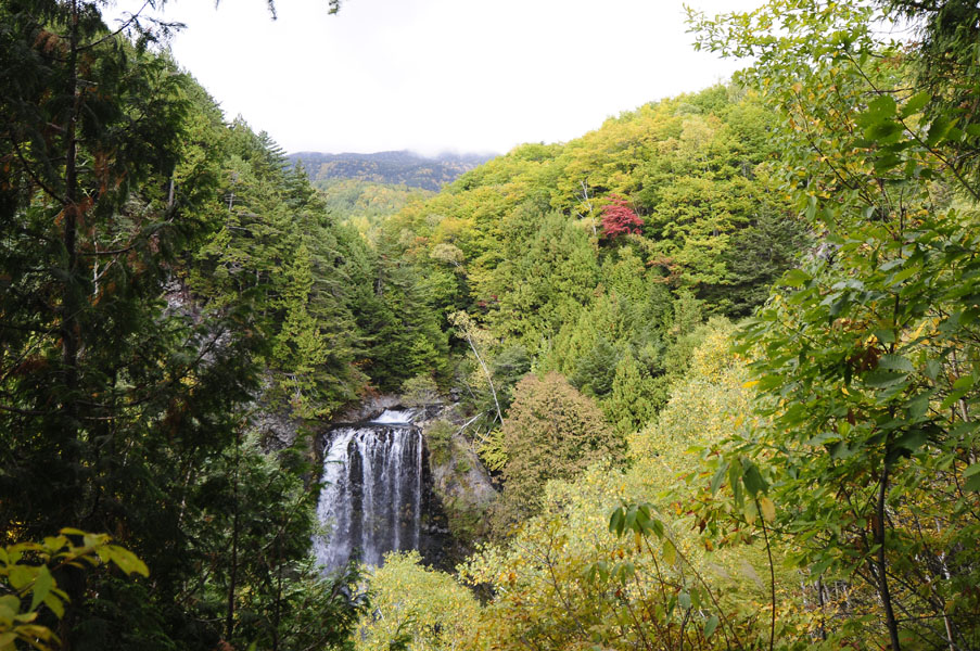 f0206417_13534339.jpg