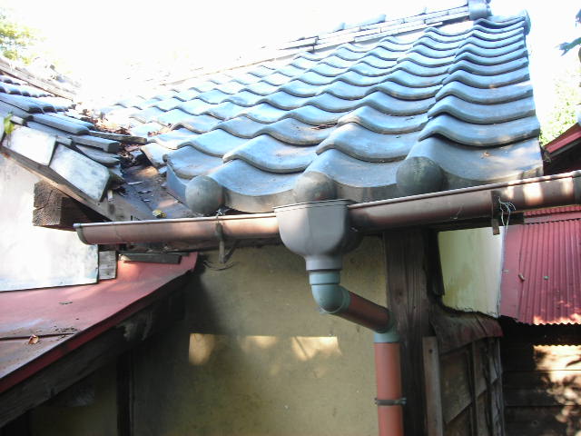 b0096418_154102.jpg
