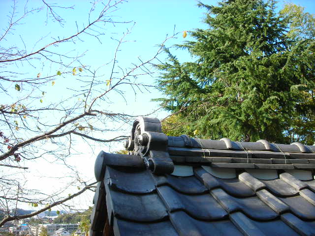 b0096418_15483233.jpg