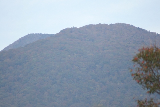 a0304423_0202980.jpg