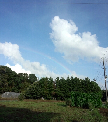 c0107924_2265619.jpg
