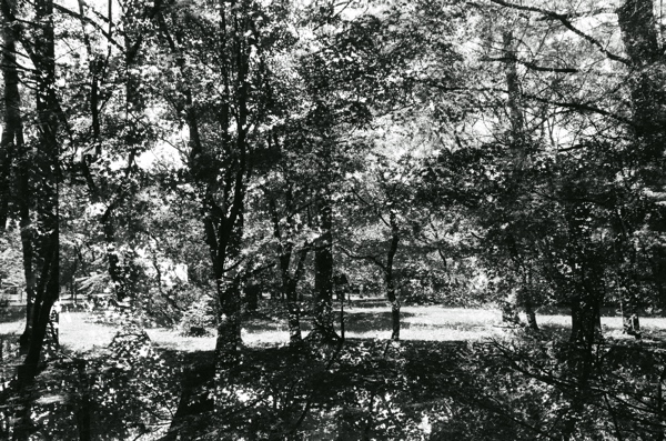 f0182924_15492671.jpg