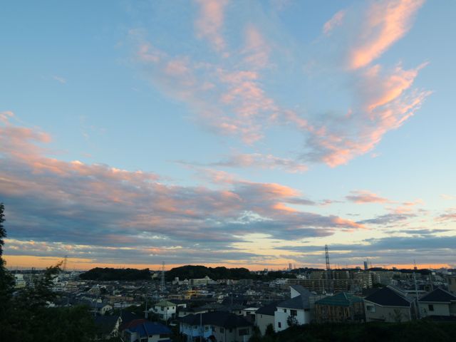 f0229926_1705635.jpg