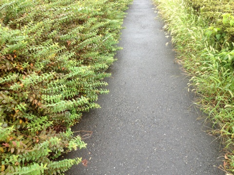 f0229926_8581159.jpg