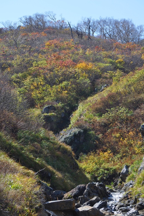 a0248728_0867.jpg