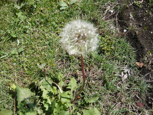 a0206332_8304821.jpg