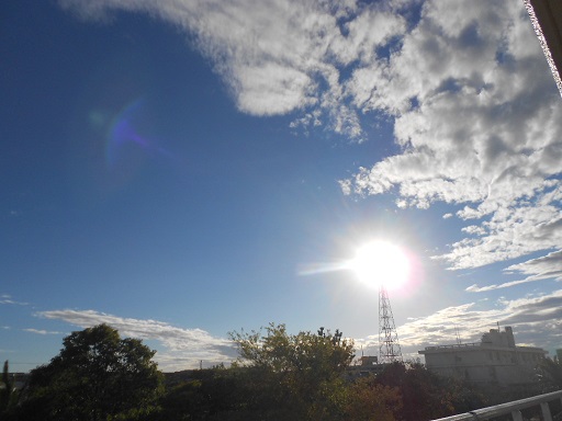 e0069234_1552018.jpg