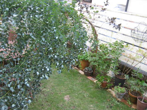 f0061334_20343596.jpg