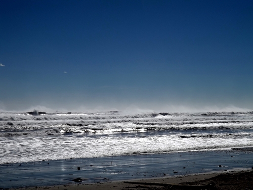 f0248337_1172339.jpg