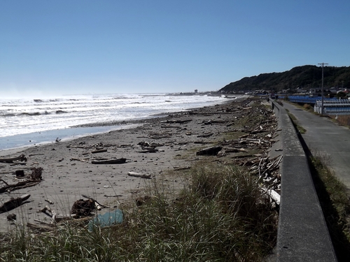 f0248337_1174053.jpg