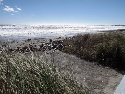 f0248337_118021.jpg
