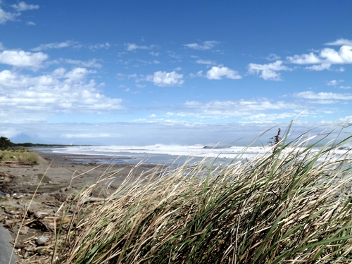 f0248337_118963.jpg