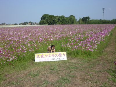 c0211540_11565550.jpg